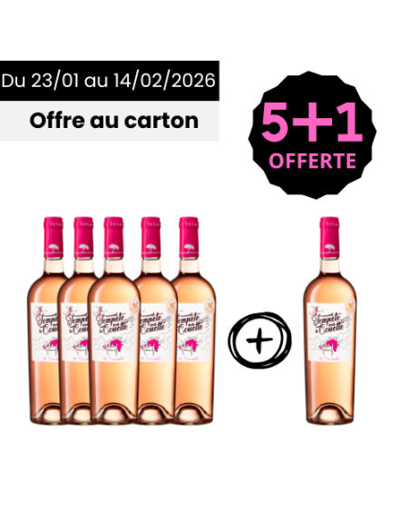 Tempête sous la Couette Rosé 2024: 5+1