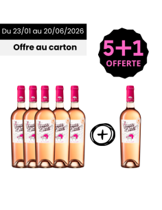 Tempête sous la Couette Rosé 2024: 5+1