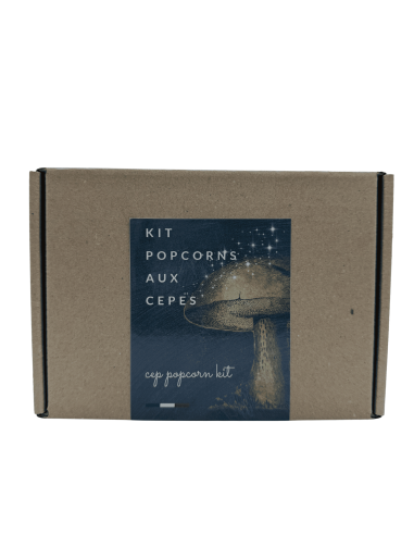 Kit Pop-corns aux Cèpes - 180g -